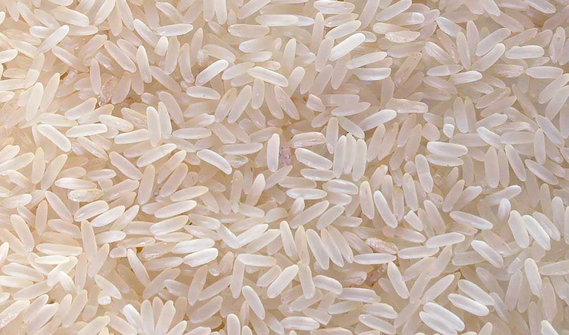 13/10/16 Une production de riz record attendue pour 2016/17