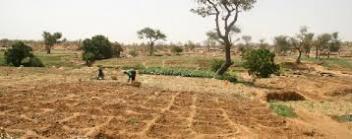 28/06/17 Une bonne activit agricole et pastorale au Burkina Faso