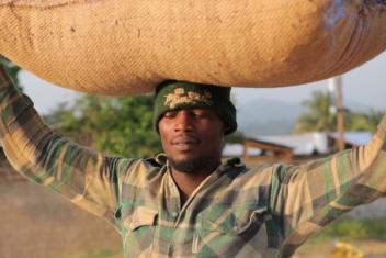 20/06/17  Le Ghana dpasse ses objectifs cacao avec 882 000 t sur la campagne principale 