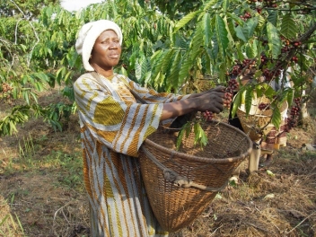 03/12/21  Le Nigeria adhère à l’Organisation internationale du café
