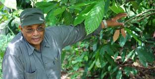 16/08/17  La filire cacao en Cte d'Ivoire conteste les modalits touchant aux coopratives certifies