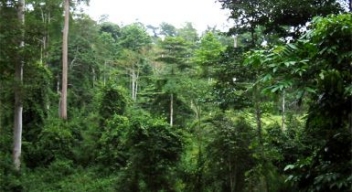 09/09/22  Les forêts au menu des conseils des ministres de Côte d’Ivoire et du Burkina Faso