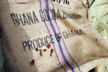 09/06/17 La campagne intermdiaire cacao dmarre au Ghana alors que pleuvent les critiques de la Banque mondiale