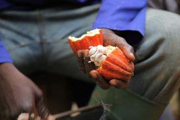 28/05/17  La Cte d'Ivoire se prpare  la norme internationale de cacao durable prvue pour novembre 2017
