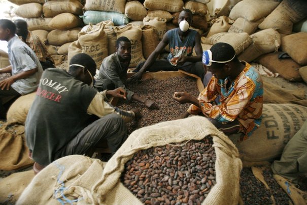 07/08/15   Cte dIvoire : la filire caf cacao se  porte bien 