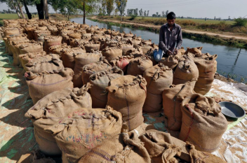 17/01/22 Chamboulement sur le marché mondial du riz : un tiers des exportations d'Inde bloqué