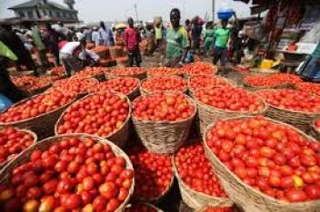 29/03/17  Le Nigeria renforce encore son protectionnisme sur le segment tomate